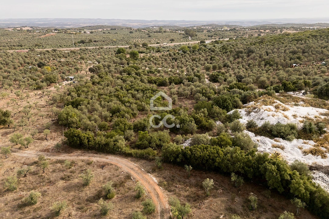 Terreno para Venda em Nossa Senhora da Conceição e São Bartolomeu Foto 16
