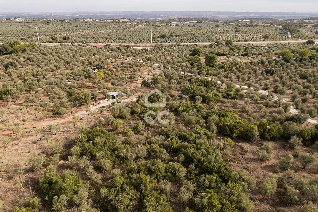 Terreno para Venda em Nossa Senhora da Conceição e São Bartolomeu Foto 17