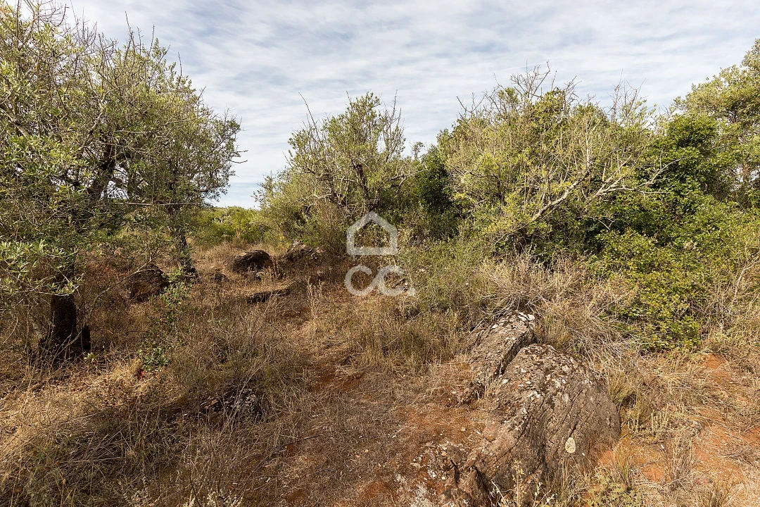 Terreno para Venda em Nossa Senhora da Conceição e São Bartolomeu Foto 10