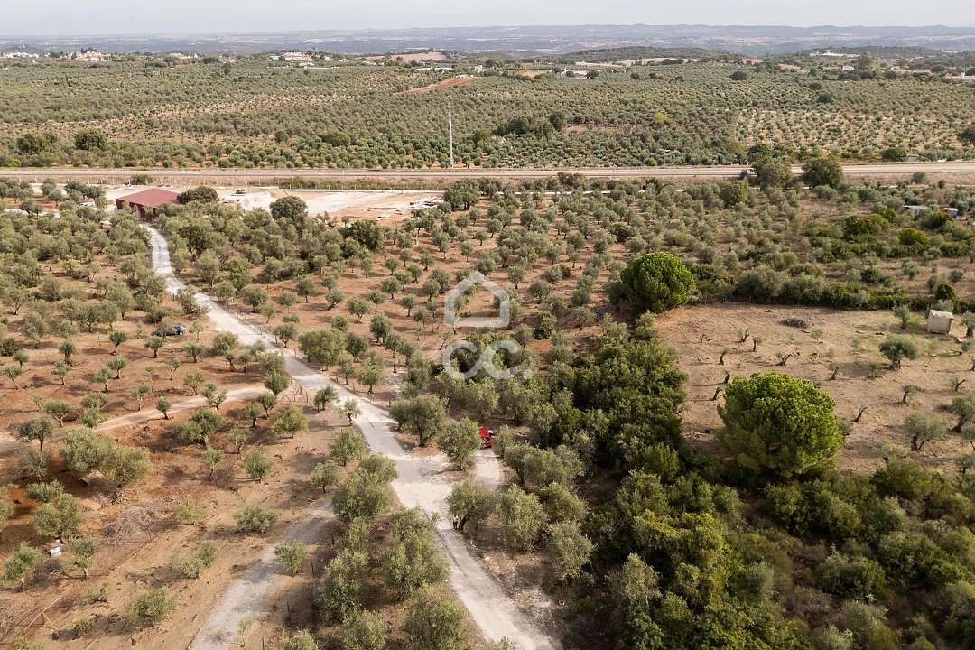 Terreno para Venda em Nossa Senhora da Conceição e São Bartolomeu Foto 30