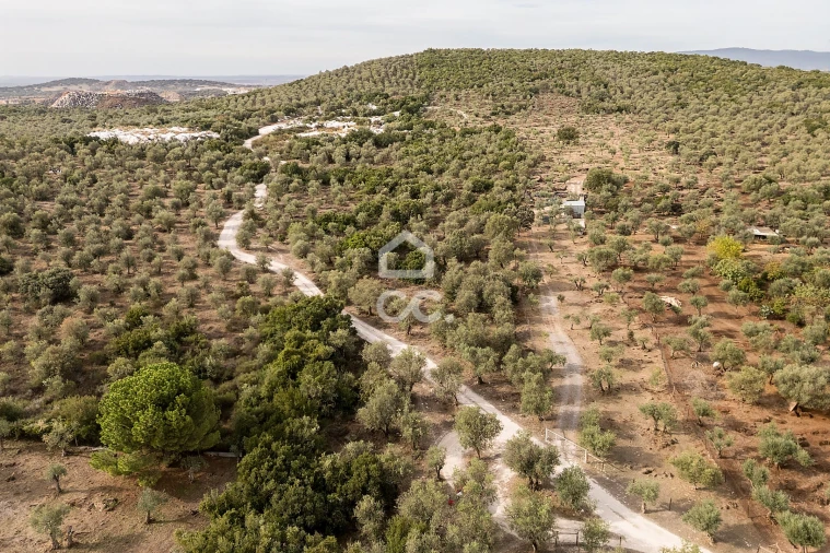 Terreno para Venda em Nossa Senhora da Conceição e São Bartolomeu Foto 26