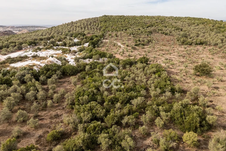 Terreno para Venda em Nossa Senhora da Conceição e São Bartolomeu Foto 20