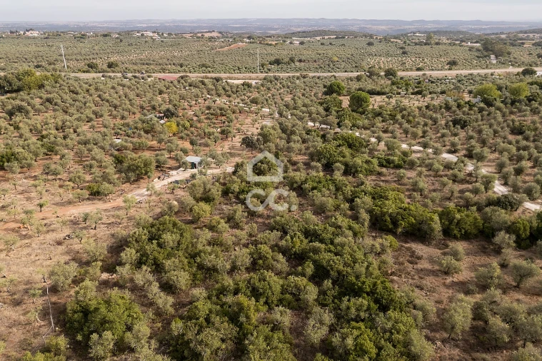 Terreno para Venda em Nossa Senhora da Conceição e São Bartolomeu Foto 17