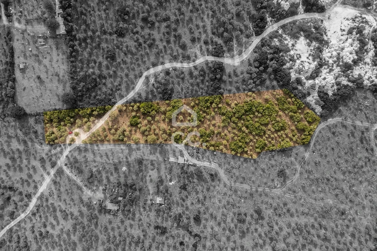 Terreno para Venda em Nossa Senhora da Conceição e São Bartolomeu Foto 2