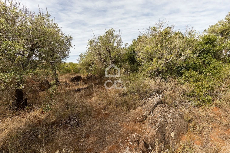Terreno para Venda em Nossa Senhora da Conceição e São Bartolomeu Foto 10