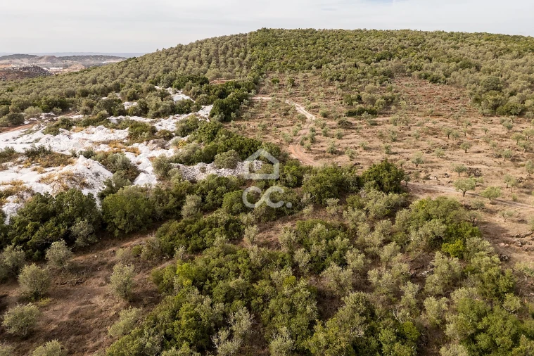 Terreno para Venda em Nossa Senhora da Conceição e São Bartolomeu Foto 19
