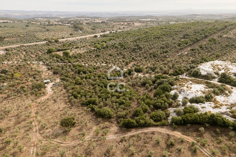 Terreno para Venda em Nossa Senhora da Conceição e São Bartolomeu Foto 3