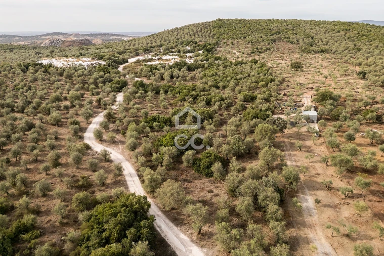 Terreno para Venda em Nossa Senhora da Conceição e São Bartolomeu Foto 27