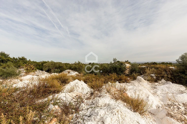 Terreno para Venda em Nossa Senhora da Conceição e São Bartolomeu Foto 13