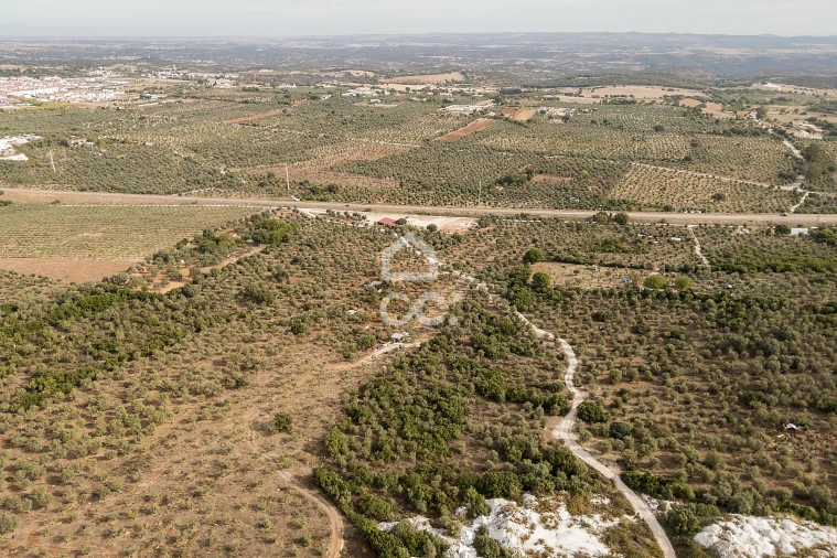 Terreno para Venda em Nossa Senhora da Conceição e São Bartolomeu Foto 24