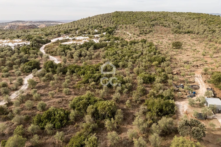 Terreno para Venda em Nossa Senhora da Conceição e São Bartolomeu Foto 21