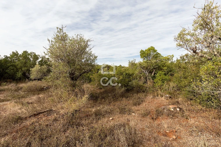 Terreno para Venda em Nossa Senhora da Conceição e São Bartolomeu Foto 11
