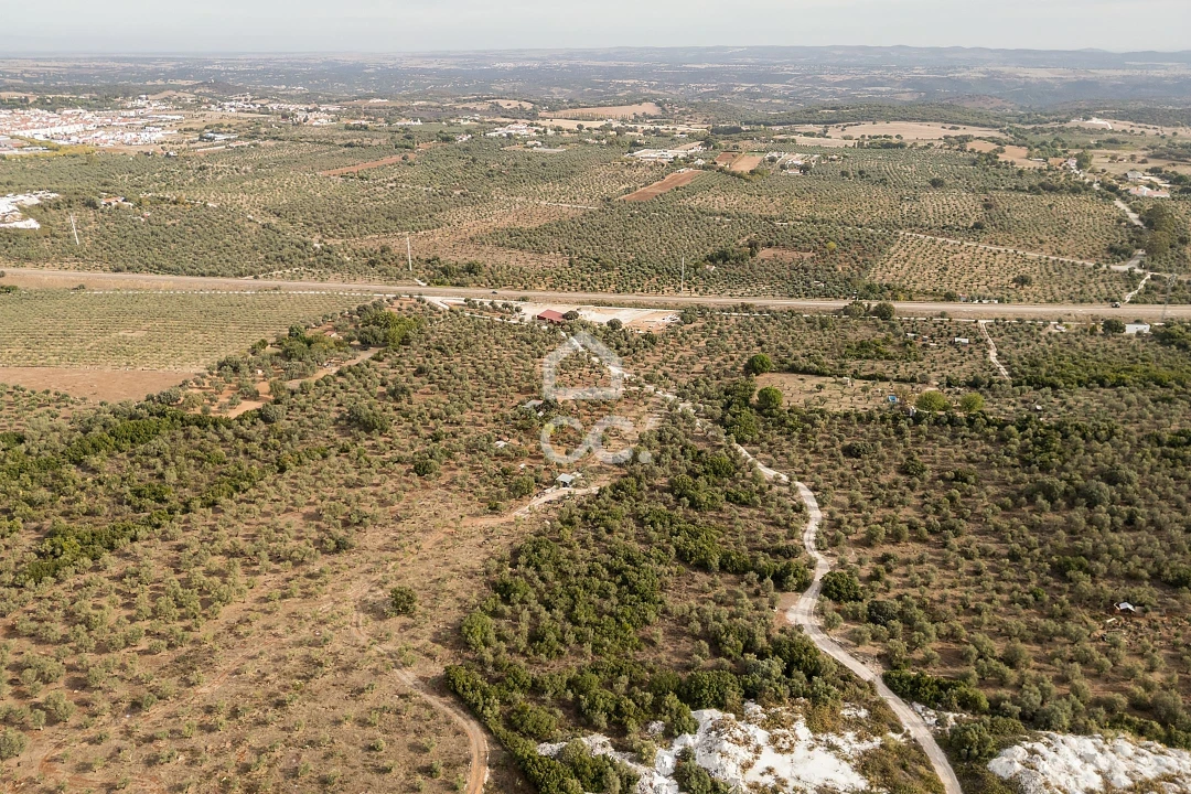 Terreno para Venda em Nossa Senhora da Conceição e São Bartolomeu Foto 24