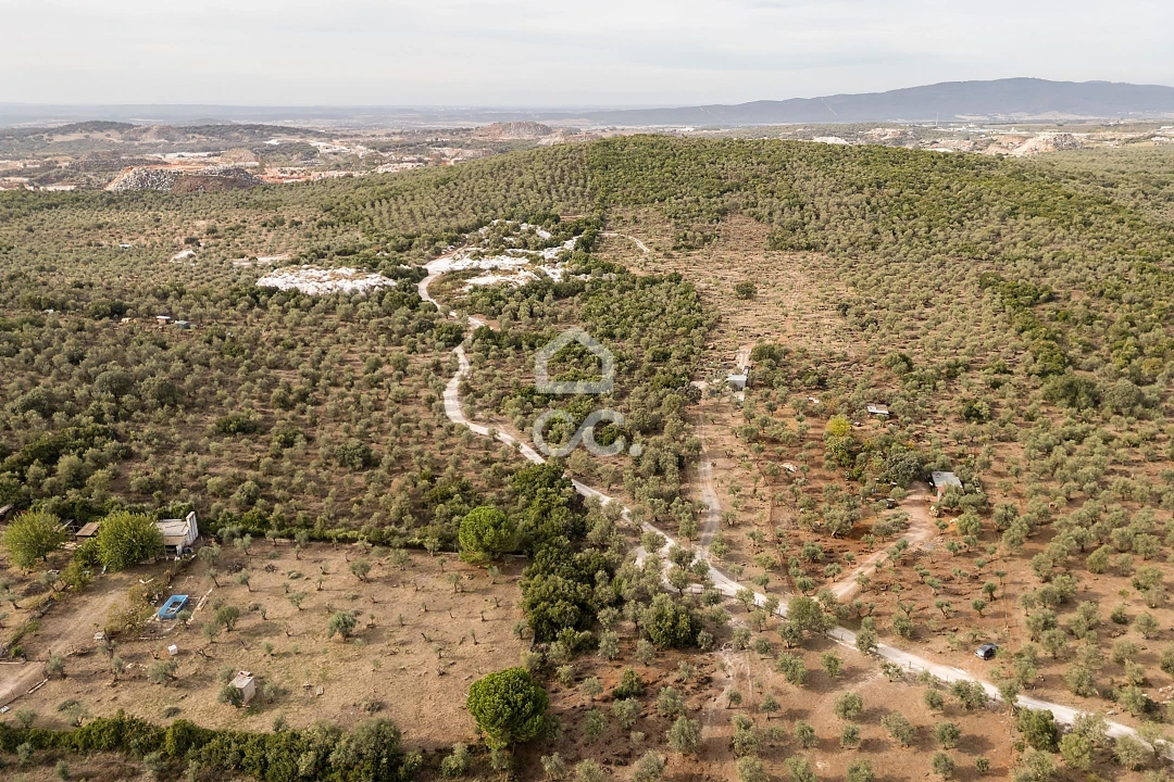 Terreno para Venda em Nossa Senhora da Conceição e São Bartolomeu Foto 31