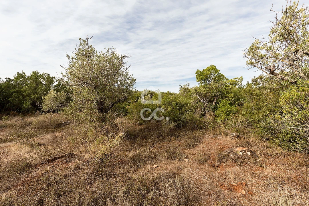 Terreno para Venda em Nossa Senhora da Conceição e São Bartolomeu Foto 11