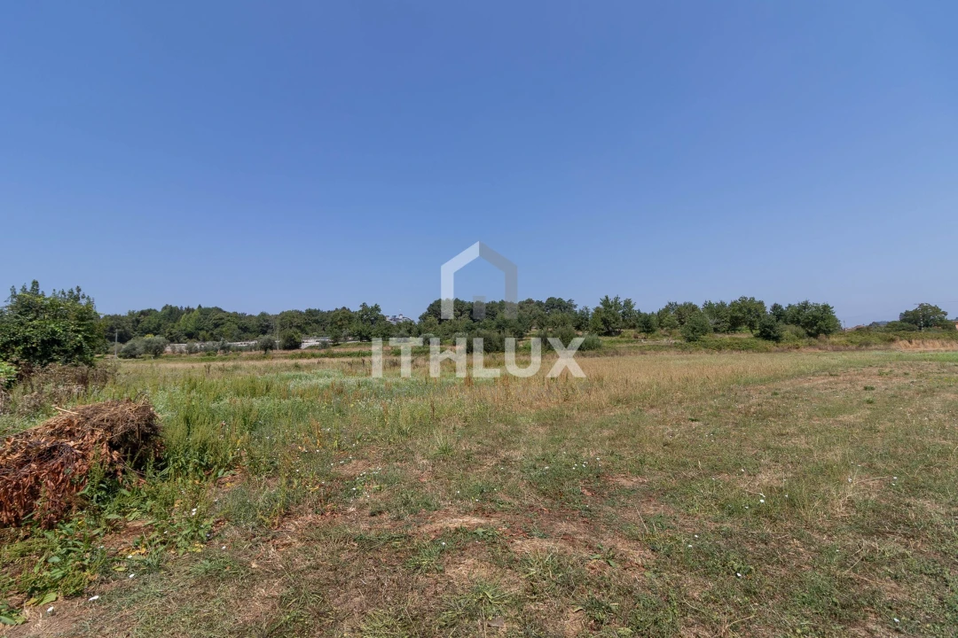 Terreno Agricola ou Rústico para Venda em Tondela e Nandufe Foto 4