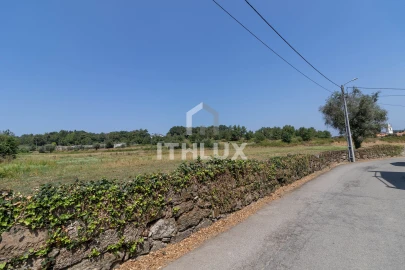 Terreno Agricola ou Rústico para Venda em Tondela e Nandufe