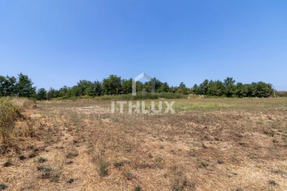 Terreno Agricola ou Rústico para Venda em Tondela e Nandufe
