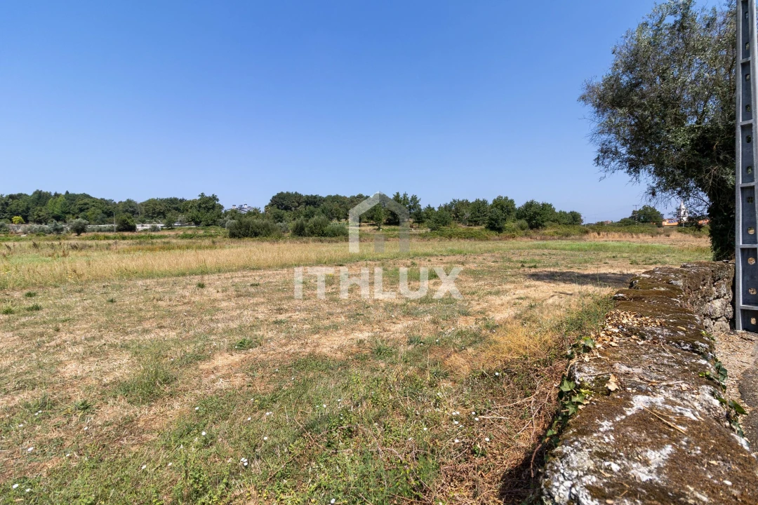 Terreno Agricola ou Rústico para Venda em Tondela e Nandufe Foto 2