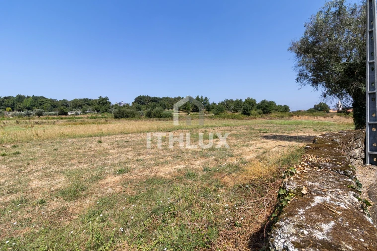 Terreno Agricola ou Rústico para Venda em Tondela e Nandufe Foto 2