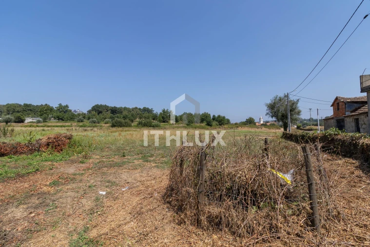 Terreno Agricola ou Rústico para Venda em Tondela e Nandufe Foto 3