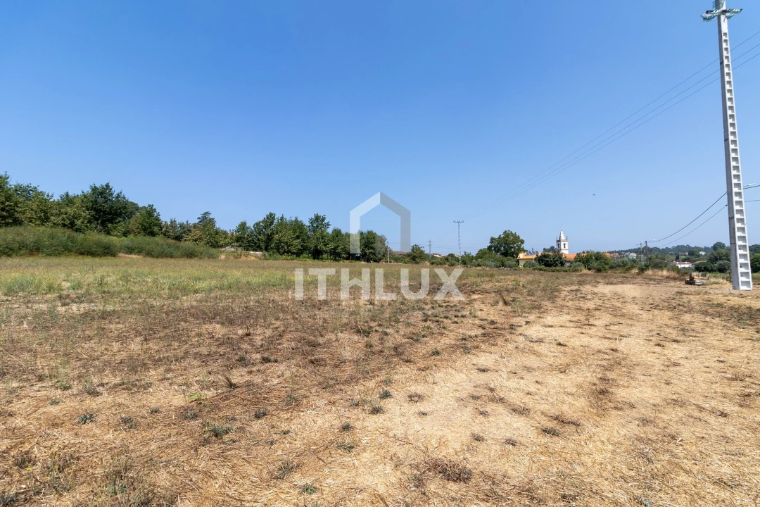 Terreno Agricola ou Rústico para Venda em Tondela e Nandufe Foto 6