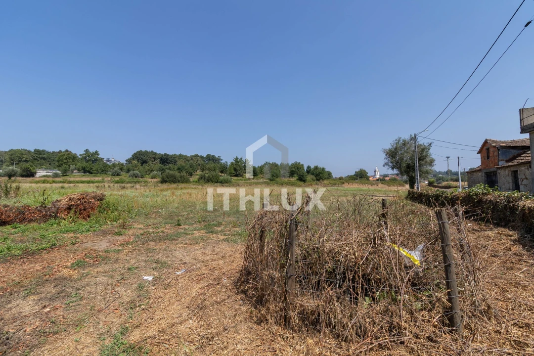Terreno Agricola ou Rústico para Venda em Tondela e Nandufe Foto 3