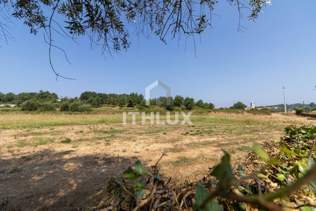 Terreno Agricola ou Rústico para Venda em Tondela e Nandufe Foto 1