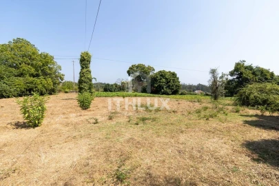Terreno Agricola ou Rústico para Venda em Canas de Santa Maria