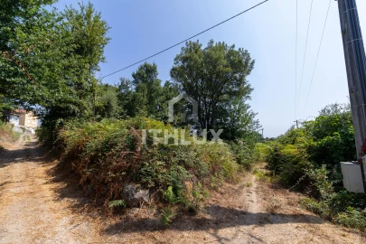 Terreno Agricola ou Rústico para Venda em Canas de Santa Maria