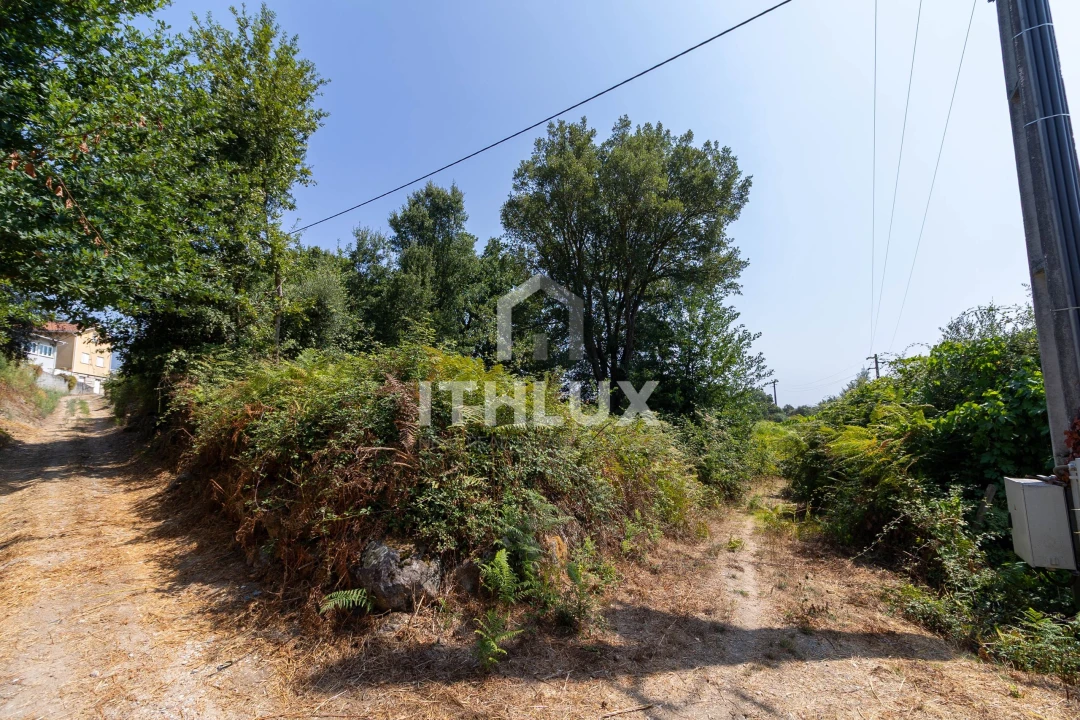 Terreno Agricola ou Rústico para Venda em Canas de Santa Maria Foto 1