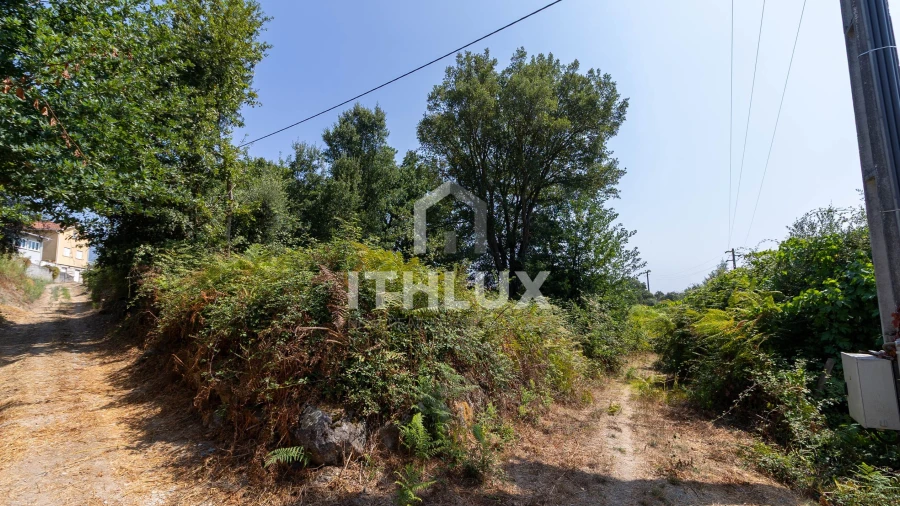 Terreno Agricola ou Rústico para Venda em Canas de Santa Maria