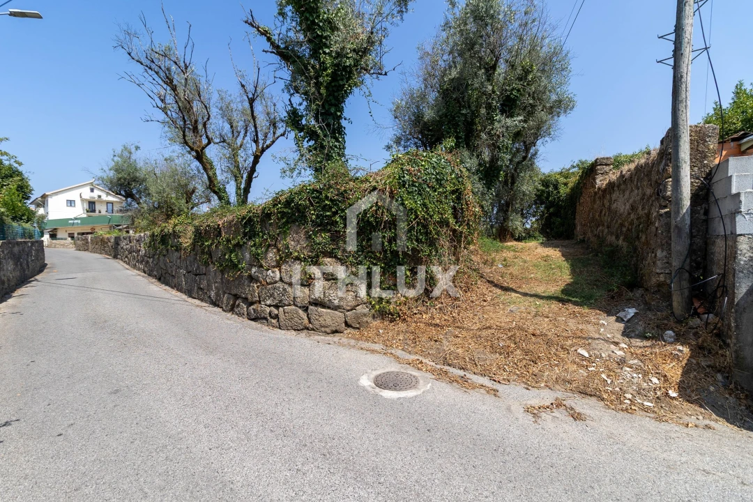 Terreno Agricola ou Rústico para Venda em Canas de Santa Maria Foto 7