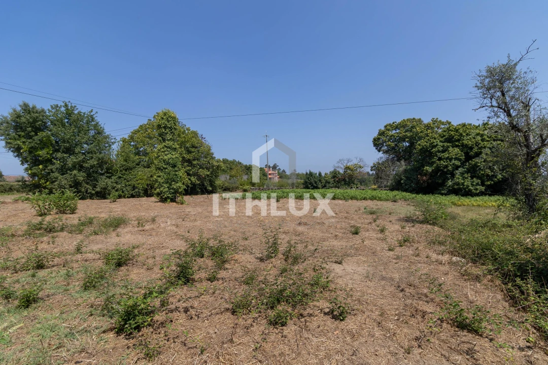 Terreno Agricola ou Rústico para Venda em Canas de Santa Maria Foto 2