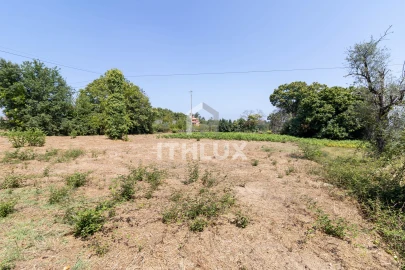 Terreno Agricola ou Rústico para Venda em Canas de Santa Maria