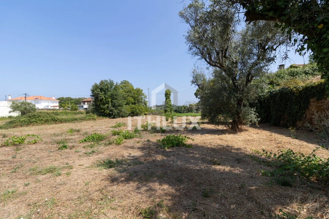 Terreno Agricola ou Rústico para Venda em Canas de Santa Maria Foto 6