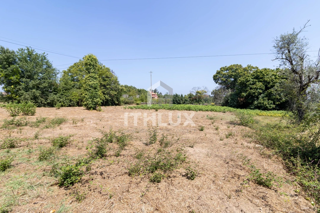 Terreno Agricola ou Rústico para Venda em Canas de Santa Maria Foto 1