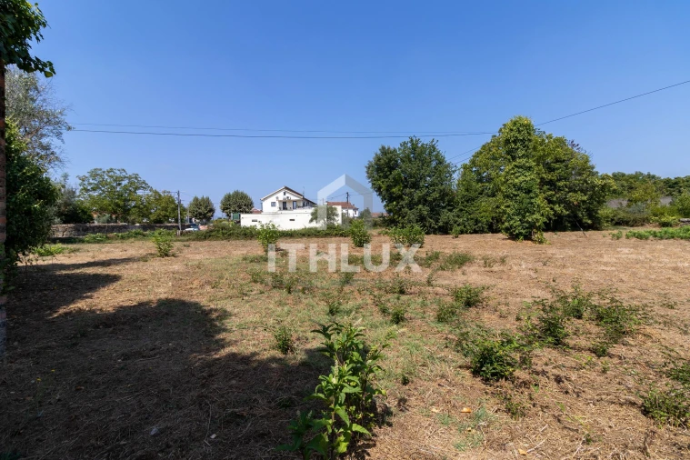 Terreno Agricola ou Rústico para Venda em Canas de Santa Maria Foto 3