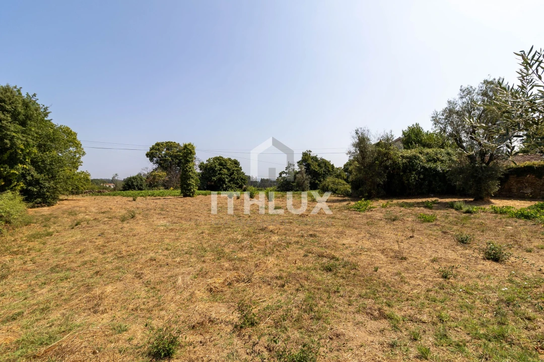 Terreno Agricola ou Rústico para Venda em Canas de Santa Maria Foto 5