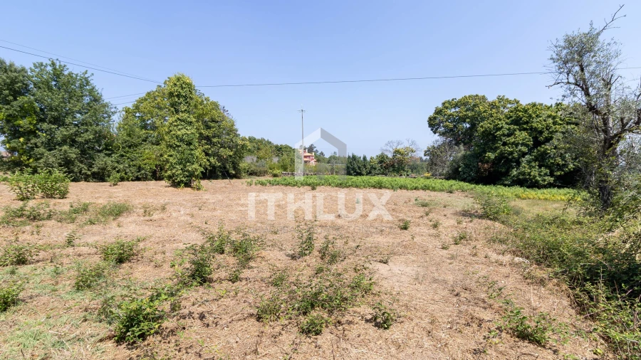 Terreno Agricola ou Rústico para Venda em Canas de Santa Maria