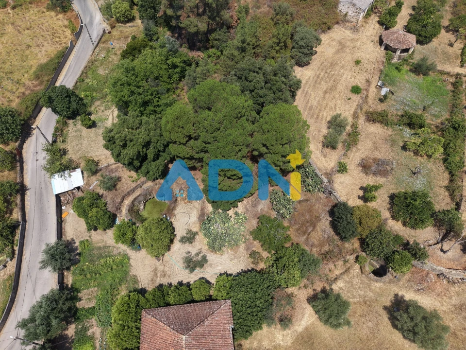 Moradia para Venda em Cebolais de Cima e Retaxo Foto 4