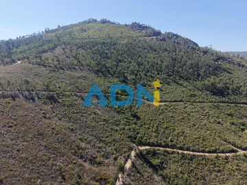 Terreno para Venda em Estreito-Vilar Barroco