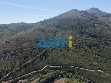 Terreno para Venda em Estreito-Vilar Barroco