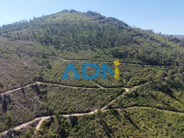 Terreno para Venda em Estreito-Vilar Barroco