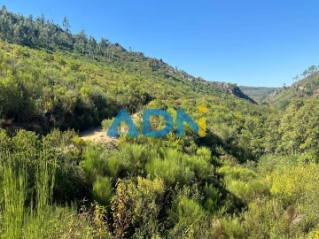 Terreno para Venda em Estreito-Vilar Barroco