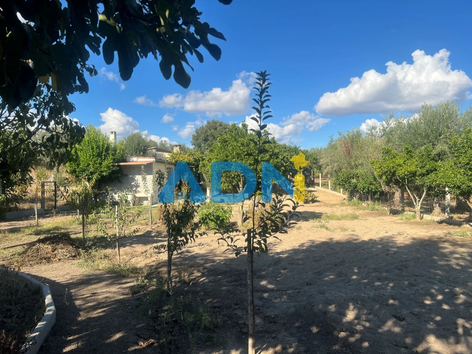 Quinta T1 para Venda em Póvoa de Rio de Moinhos e Cafede Foto 12