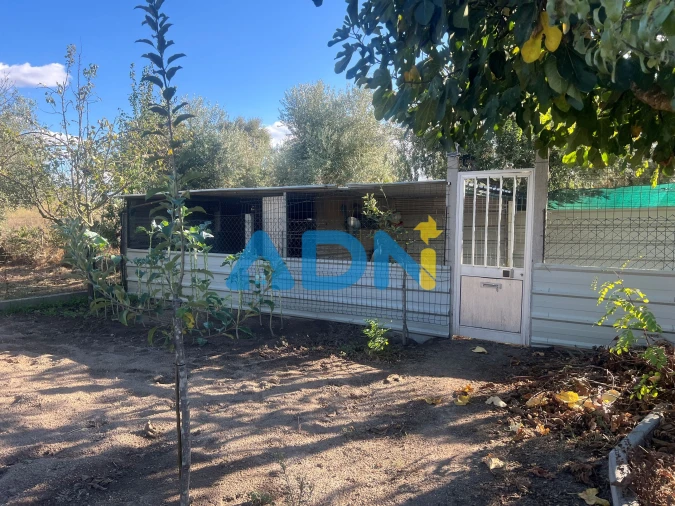 Quinta T1 para Venda em Póvoa de Rio de Moinhos e Cafede Foto 8