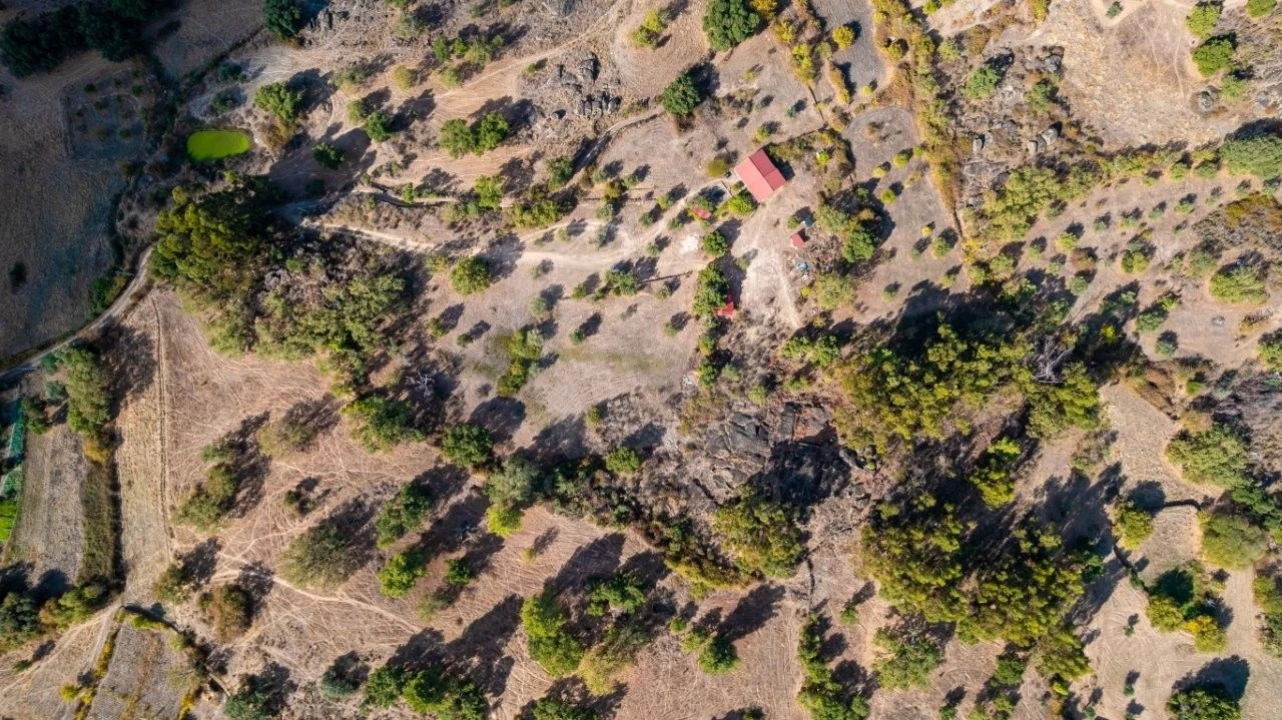 Quinta T1 para Venda em Pedrógão de São Pedro e Bemposta Foto 45
