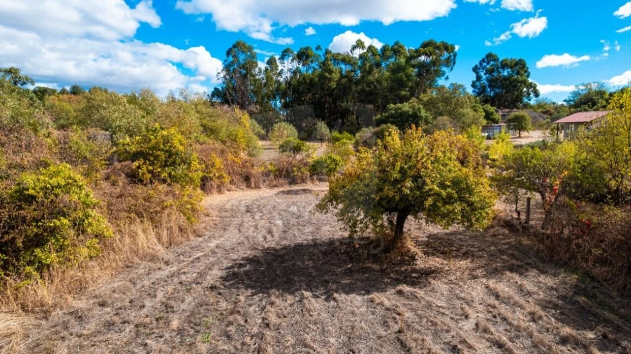 Quinta T1 para Venda em Pedrógão de São Pedro e Bemposta Foto 9