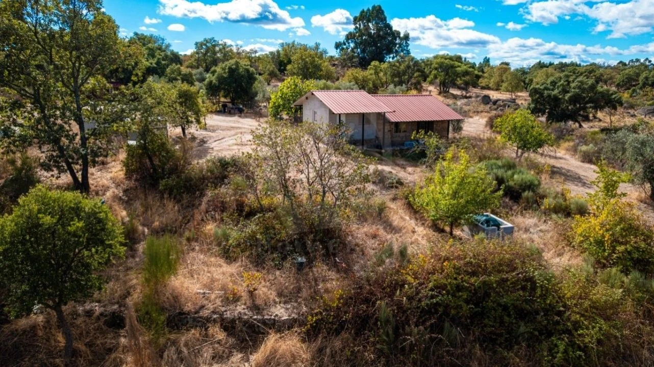Quinta T1 para Venda em Pedrógão de São Pedro e Bemposta Foto 10